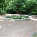 Pool with water lilies