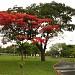 Praça dos Advogados na Araraquara city
