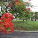 Praça dos Advogados na Araraquara city