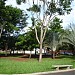Praça dos Advogados na Araraquara city
