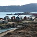 Tasiilaq