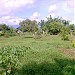 Bogz Place in Calapan city