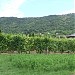 Start of the wine route between Csókakő and Csákberény