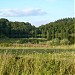 Holzmaar