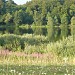 Holzmaar