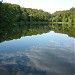 Holzmaar
