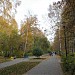 Парк культуры и отдыха «Березовая роща» в городе Новосибирск