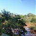 Zoológico de Bauru na Bauru city