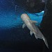 Underwater World in Pattaya City city