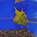 Underwater World in Pattaya City city