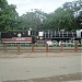 'Malwa Gaurav' Steam Locomotive in Neemuch city