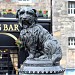 Greyfriars Bobby Statue in Edinburgh city