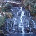 Elephant falls in Shillong city