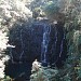 Elephant falls in Shillong city