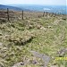 Roman Road - Blackstone Edge