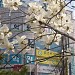 Wizbee English Hagwon. Dong San Building 동산 in Daegu city