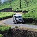 Binnakandi Tea Garden