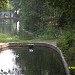 Аквариум Золотой Рыбки в городе Белая Церковь