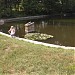 Пруд Поповича в городе Белая Церковь