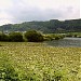 Maarsee im Meerfelder Maar