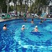 Бассейн в Воднике в городе Долгопрудный