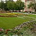 Plac Ignacego Daszyńskiego in Opole city