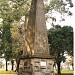 Plaza Rocamora en la ciudad de Gualeguay