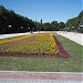 Oleksandrivskyi square garden in Kharkiv city