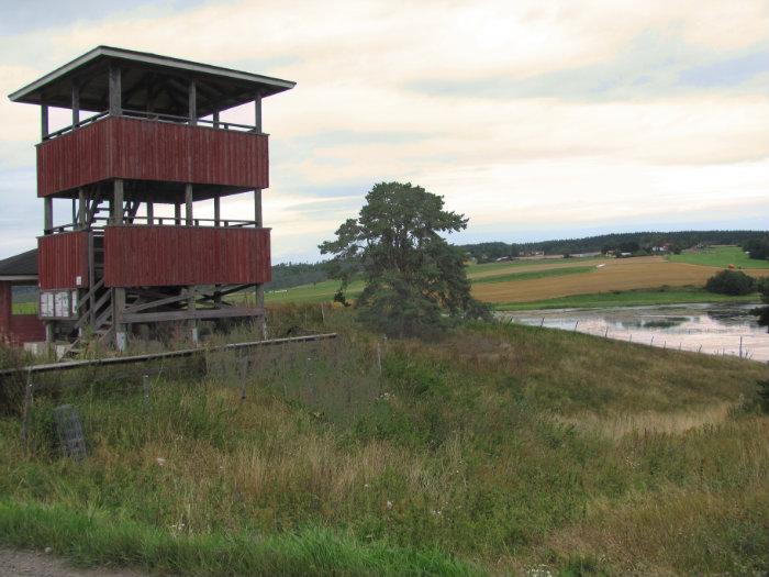 Bird Watch Tower bird-watch-tower