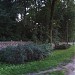 Pozostałości wałów in Leszno city