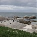 Boulders Beach in Cape Town city