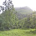 Maangad
