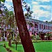 Department Of Geology in Aligarh city