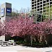 Site of Turner Gate in Chicago, Illinois city