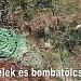 Hortobágyi volt bombázó lőtér.