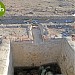بركة الزبير بن العوام في ميدنة المدينة المنورة 