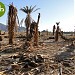 بركة الزبير بن العوام في ميدنة المدينة المنورة 