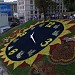 Клумба «Цветочные часы» в городе Киев