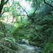 Bell Creek--lower natural section in Los Angeles, California city