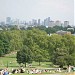 Primrose Hill