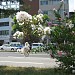 Площадь с мемориалом (ru) in Kobe city