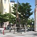 Metal Giraffe in Kobe city