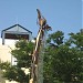 Metal Giraffe in Kobe city
