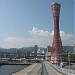 Kobe Port Tower in Kobe city