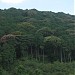 Kiyomizu-Yama Hill (en) in 京都市 city