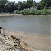 Устие на река Тимок
