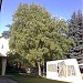 Стена в городе Пятигорск