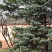 пл. Ленина, 21 в городе Пятигорск