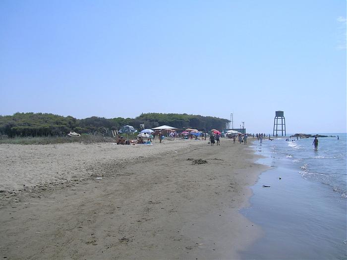 Beaches in Fier 