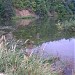 Пруд в городе Чебоксары